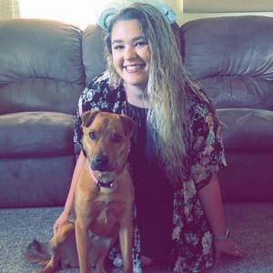 Meet your Posher, Cambria